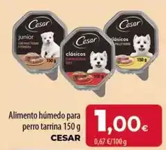 Spar Tenerife Cesar - alimento húmedo para perro tarrina oferta
