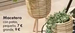TEDi Macetero oferta