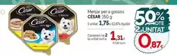 Condis Cesar - menjar per a gossos oferta