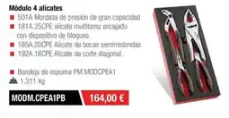 Ferri Modulo 4 alicates oferta