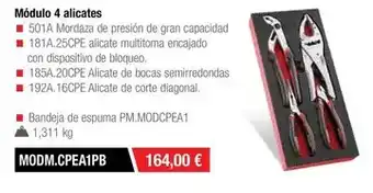 Ferri Modulo 4 alicates oferta