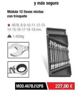 Ferri Modulo 12 llaves mixtas con triquete oferta