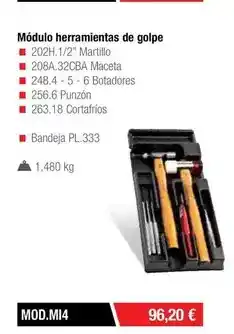 Ferri Modulo herramientas de golpe oferta