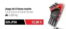 Ferri Juego de 9 llaves macho oferta