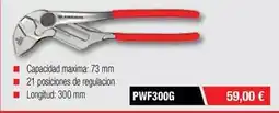 Ferri Benavent - pwf250cpepb oferta