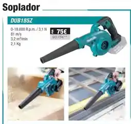 Ferri Soplador dub185z oferta