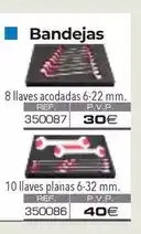 Ferri Bandejas oferta