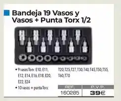 Ferri Bandeja 19 vasos y vasos + punta torx 1/2 oferta