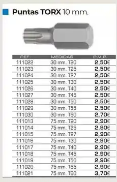 Ferri Puntas torx oferta