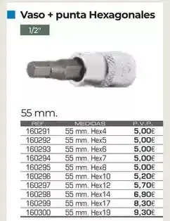Ferri Vaso + punta hexagonales oferta