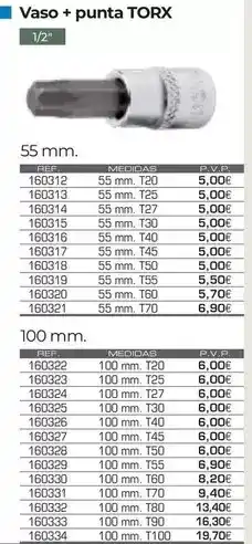 Ferri Vaso + punta torx oferta