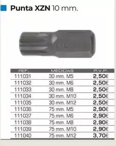 Ferri Punta xzn 10 mm oferta