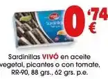 TOP Cash & Carry Vivó - sardinillas en aceite egetal oferta