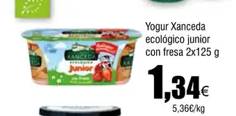 Cash FROIZ Yogur Xanceda ecológico junior con fresa oferta