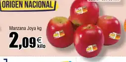 Cash FROIZ Manzana Joya oferta