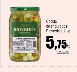 Cash FROIZ RIOVERDE Cocktail de encurtidos oferta