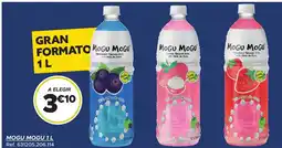 GiFi MOGU MOGU oferta