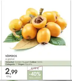 Supermercados Plaza Nísperos oferta