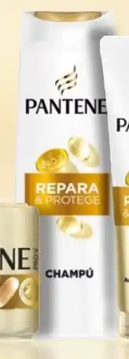 Supermercados Plaza Champú Repara & Protege oferta