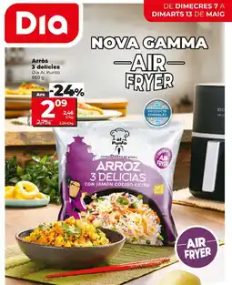 Maxi Dia Arròs 3 delícies oferta