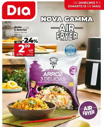 Maxi Dia Arròs 3 delícies oferta