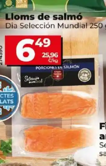 Maxi Dia Lloms de salmó oferta