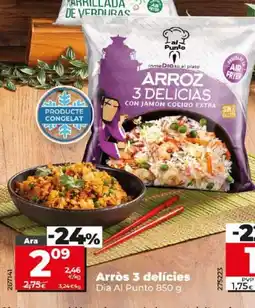 Maxi Dia Arròs 3 delícies oferta