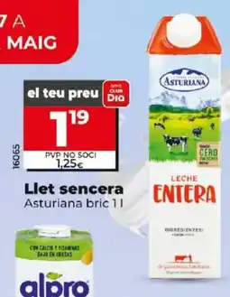 Maxi Dia Llet sencera oferta