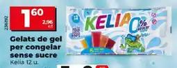 Maxi Dia Gelats de gel per congelar oferta