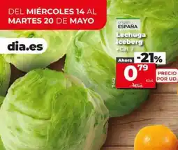 Dia Lechuga iceberg oferta