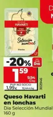 Dia Queso Havarti en lonchas oferta
