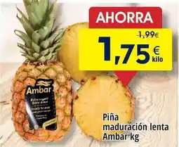 FROIZ Ambar - piña maduracion lenta oferta