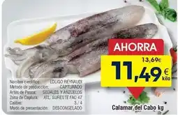 FROIZ Loligo reyvaudi capturado oferta