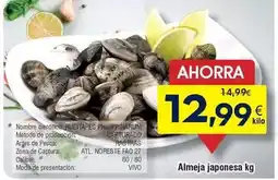 FROIZ Vivó - almeja japonesa oferta