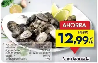 FROIZ Vivó - almeja japonesa oferta
