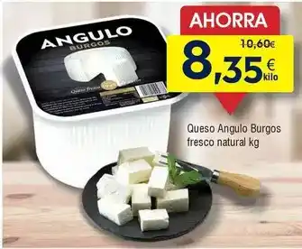 FROIZ Angulo - queso burgos fresco natural oferta