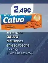 FROIZ Vileda - recambio fregona oferta
