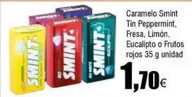 FROIZ Smint - caramelo tin peppermint, fresa, limón, eucalipto o frutos rojos oferta