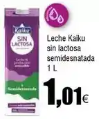 FROIZ Kaiku - leche sin lactosa semidesnatada oferta