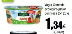 FROIZ Findus - yogur xanceda ecologico junior con fresa oferta