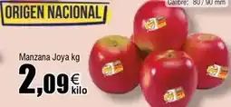 FROIZ Origen - manzana joya oferta