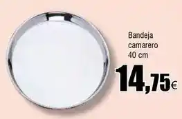 FROIZ Bandeja camarero oferta