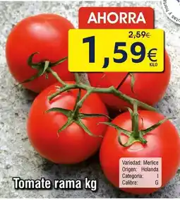 FROIZ Rama - tomate oferta
