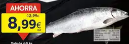 FROIZ Salmon a.l.o. surti oferta