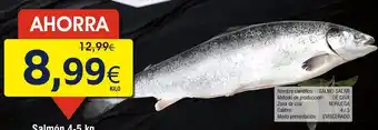 FROIZ Salmon a.l.o. surti oferta