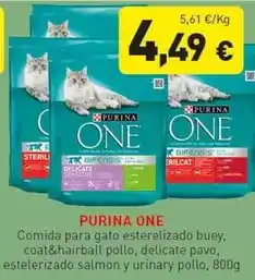 Hiperber Purina - one oferta