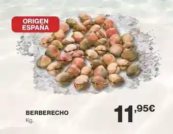 Supercor Origen - berberecho oferta