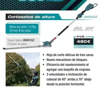 Ferri Cortasetos de altura oferta