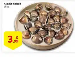 Alcampo supermercado Almeja marrón oferta
