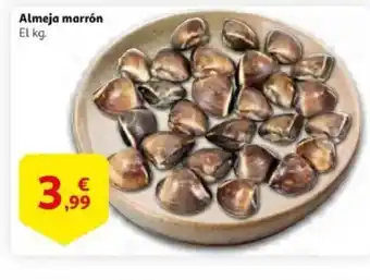 Alcampo supermercado Almeja marrón oferta